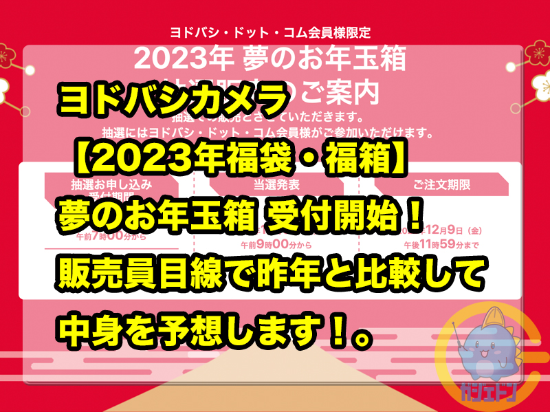 【新品】2020年ヨドバシカメラ　夢のお年玉箱　スマートフォンの夢